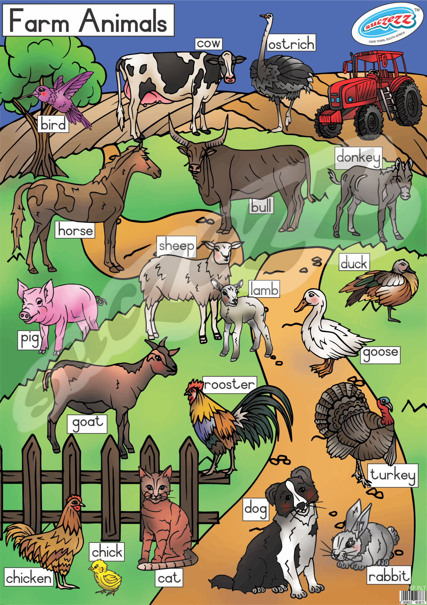 Poster - Farm Animals - Suczezz
