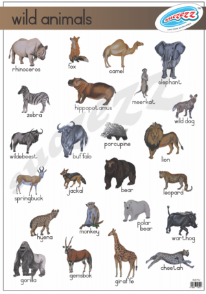 Poster - Wild Animals