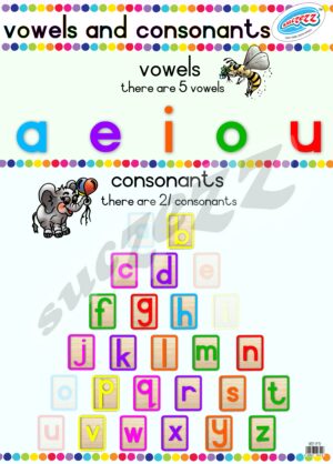 Poster - Vowels And Consonants